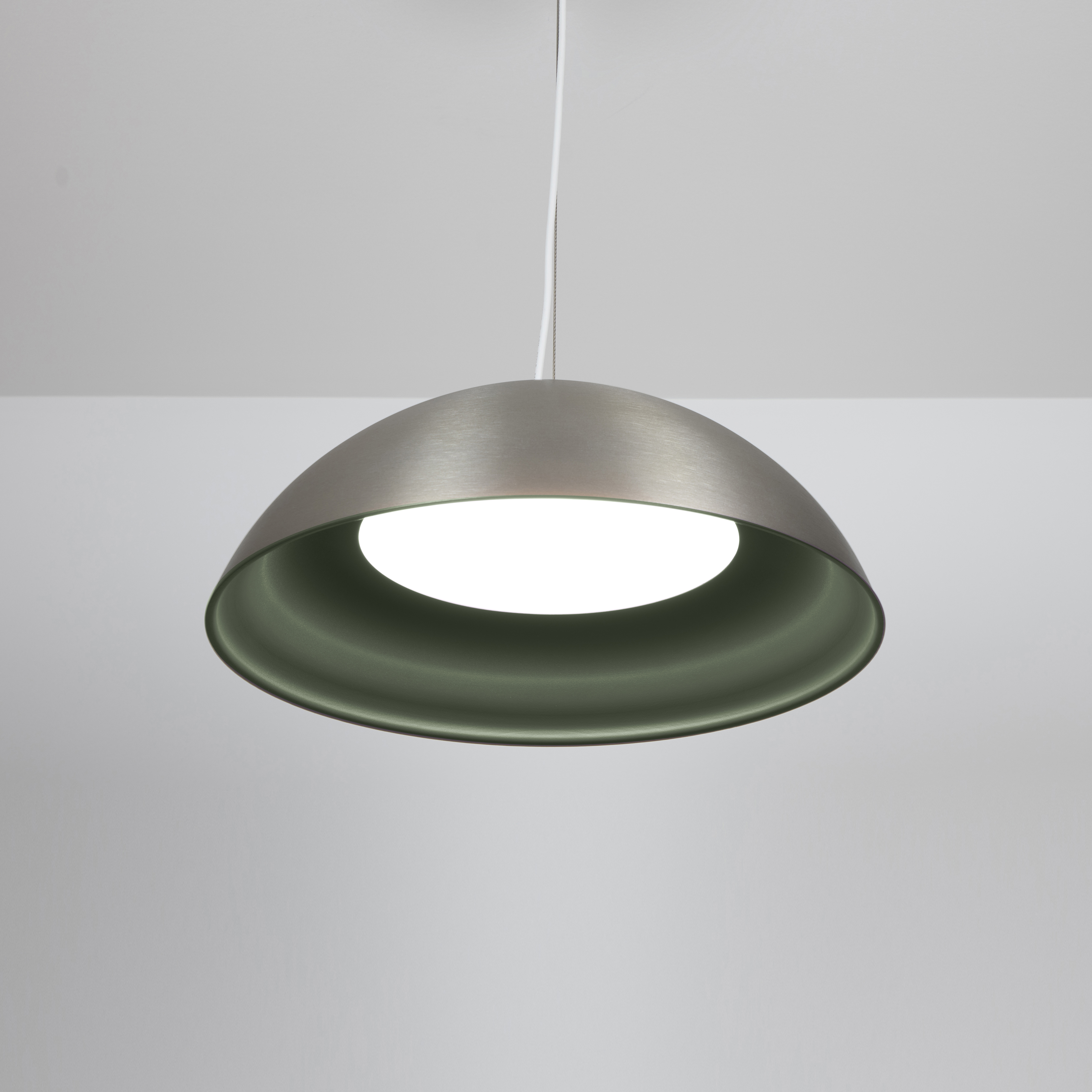 Dome pendant light with LED lighting