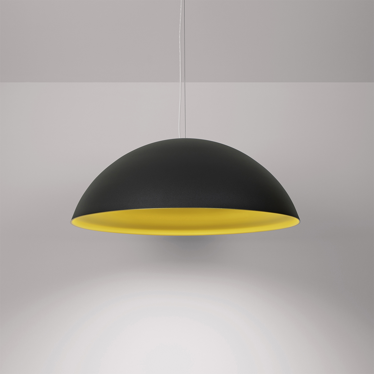 Dome pendant light with LED lighting