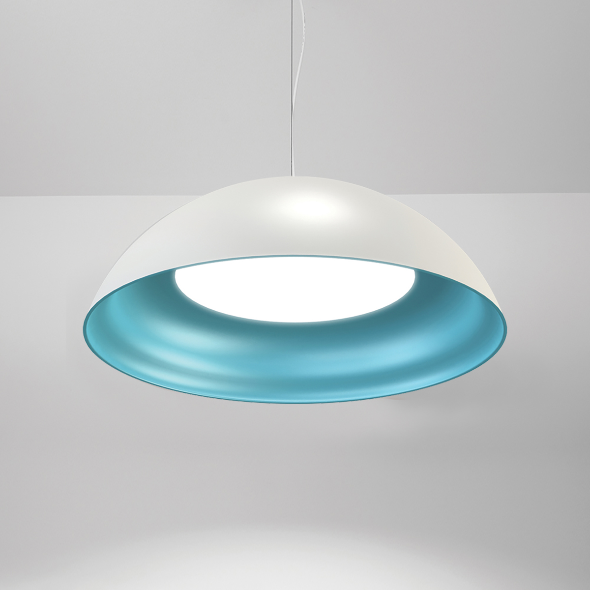 Dome pendant light with LED lighting