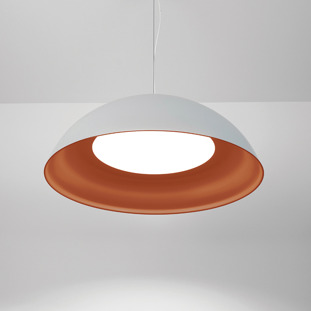 Dome pendant light with LED lighting