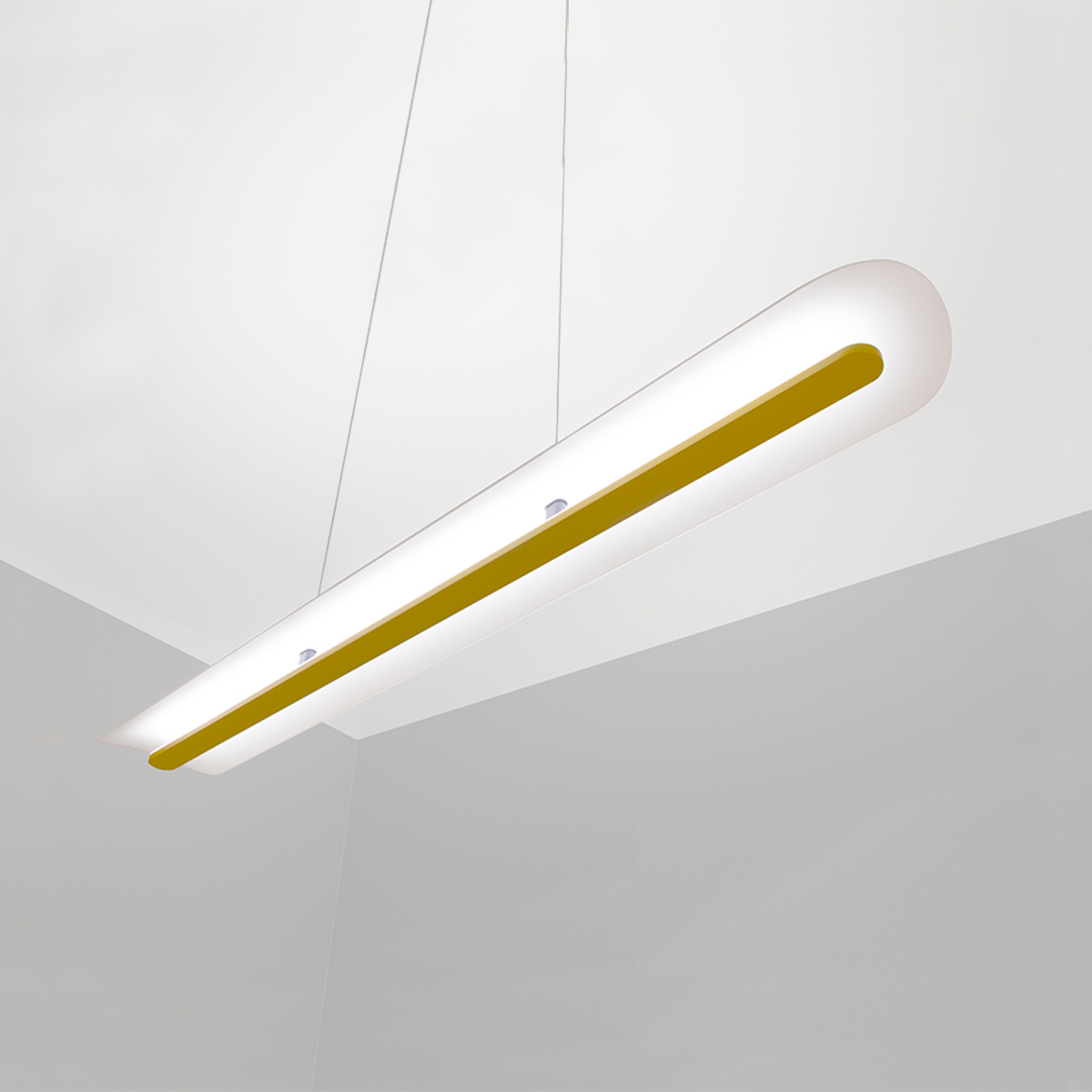 Unique linear pendant light with TRCN finish