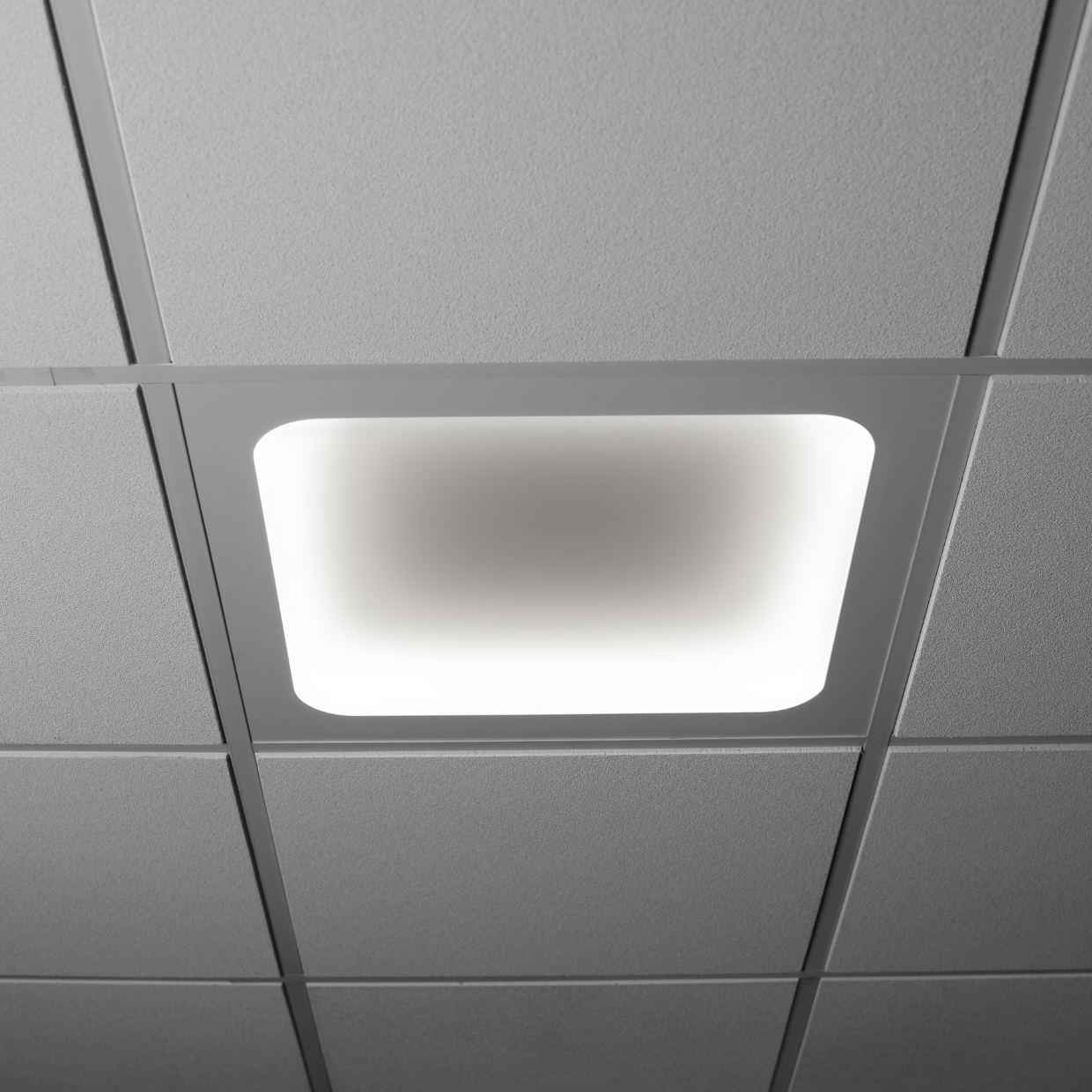 Harmony 2x2 Overbed in Ceiling