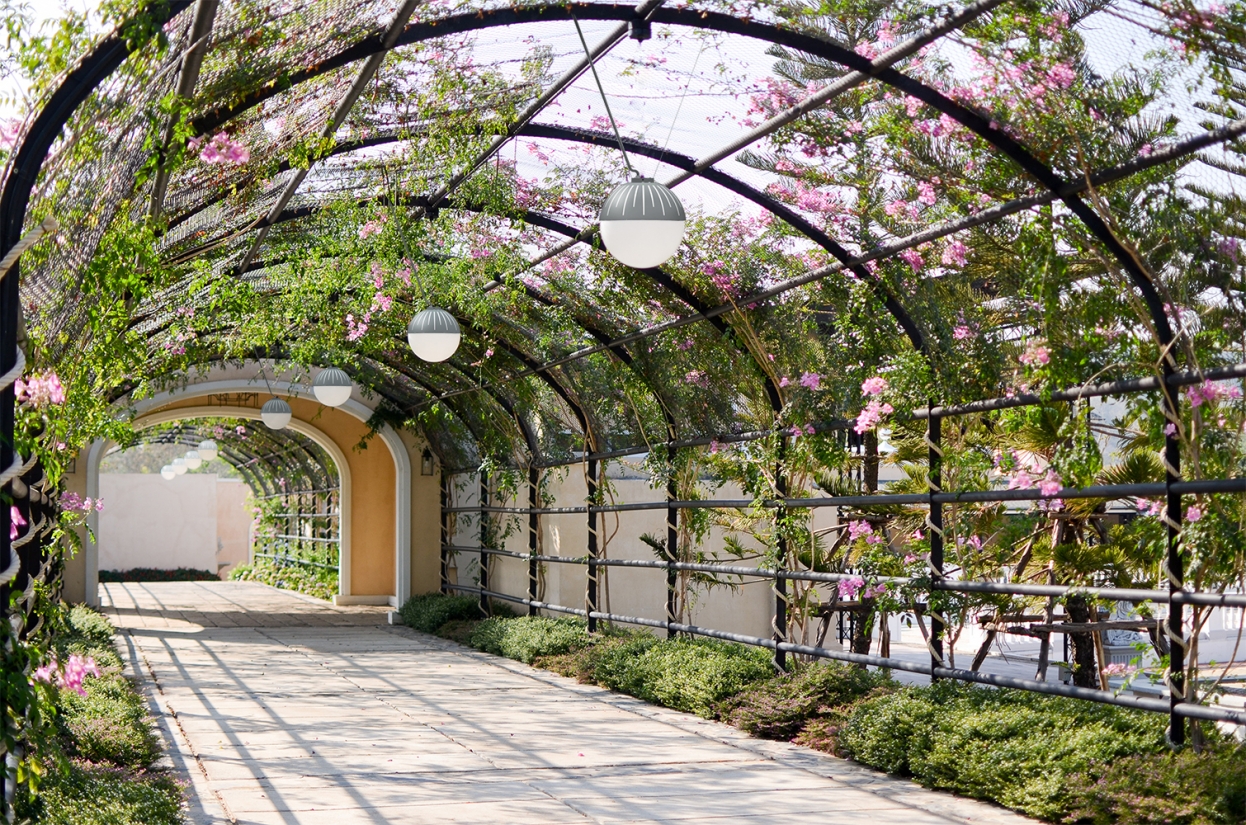 Zume Outdoor on pathway hanging from tunnel structure with plants as well