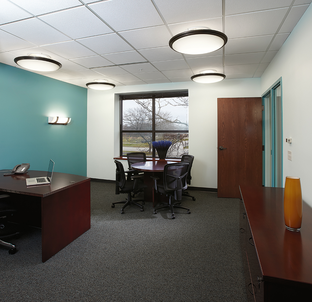 Ovation ceiling mounted elliptical luminaires with dark trim for classic, elegant office lighting.