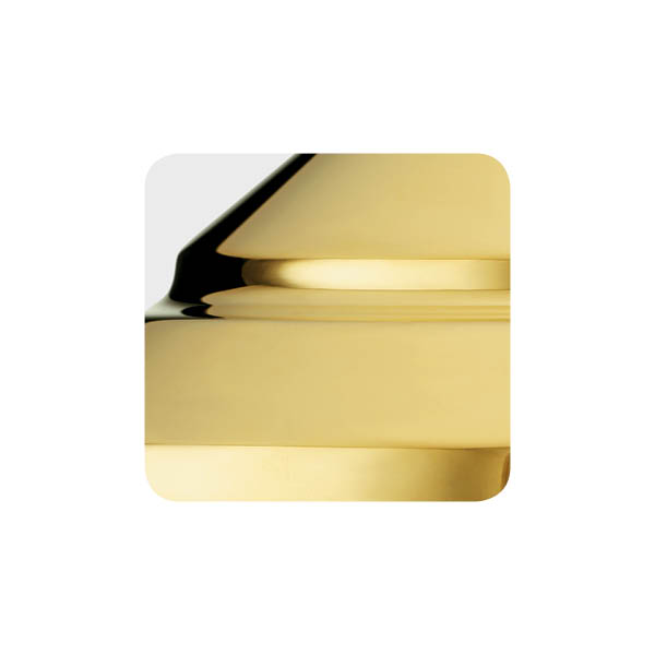 Polished Brass (BHMA605)