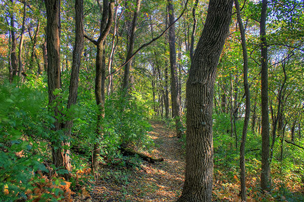 Wisconsin northwoods, where specifiers relax and innovate